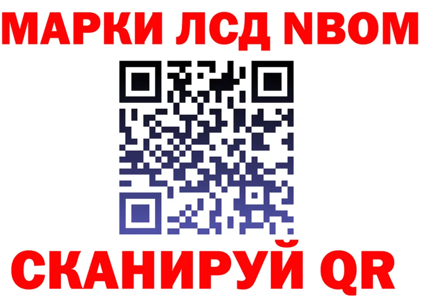 A-PVP СК вход площадка MEGA Полесск