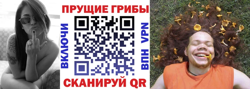 Галлюциногенные грибы GOLDEN TEACHER  Полесск 